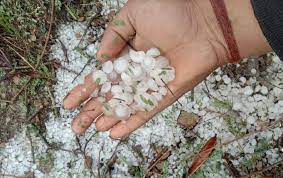 anuppur, Hailstorm,heavy rain