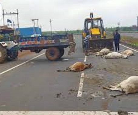 guna, Truck running , roadside