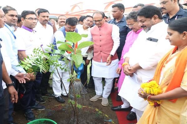 सीएम शिवराज ने बड़वानी में किया पौधारोपड़