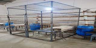 balodabazar, five hundred officers ,security system