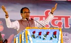 नर्मदा नदी
