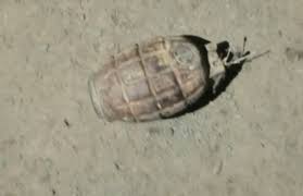 bhind, hand grenade , Rashtriya Swayamsevak Sangh