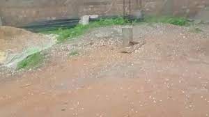 morena, Hail fell ,unseasonal rain 