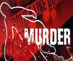 raipur, Drunken son-in-law ,mother-in-law to death