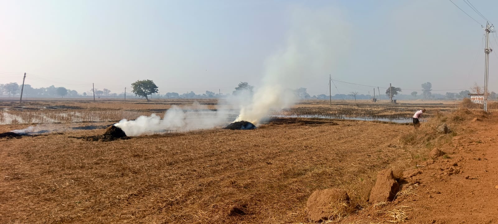 dhamtari, Burning of stubble, stopped  
