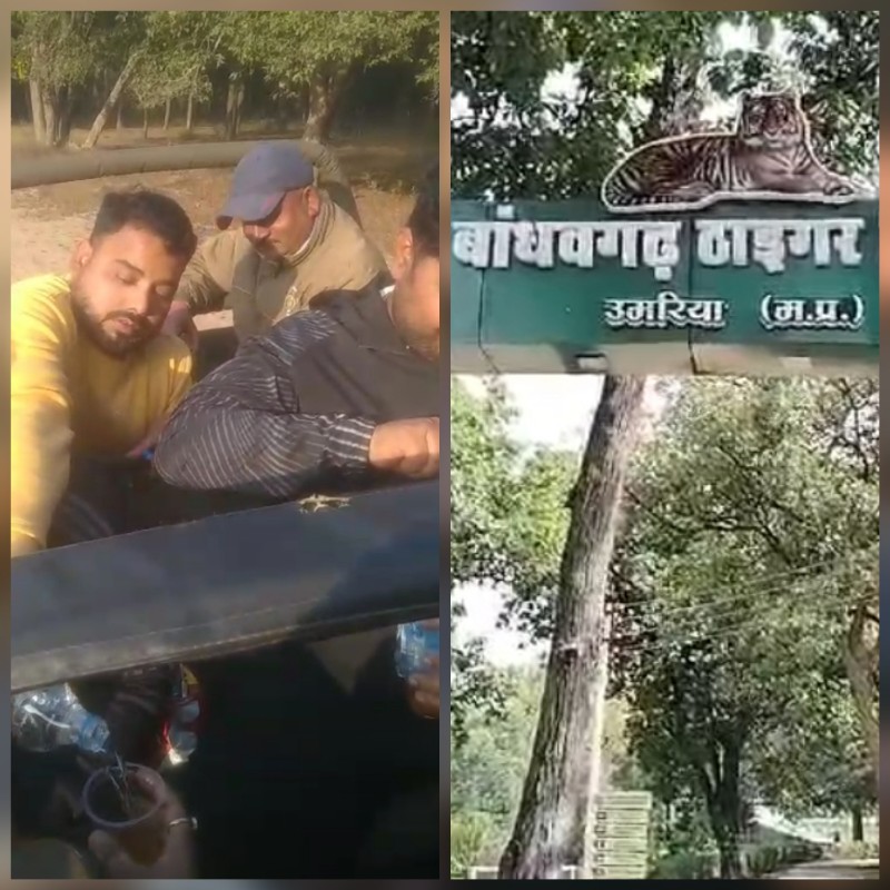 umaria, Open liquor party ,​​Bandhavgarh Tiger Reserve