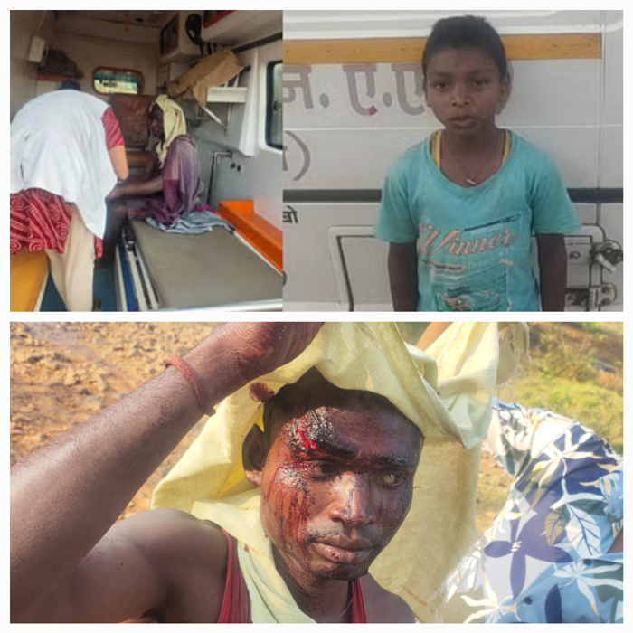 dantewada, wild animal bear ,attacked a villager 