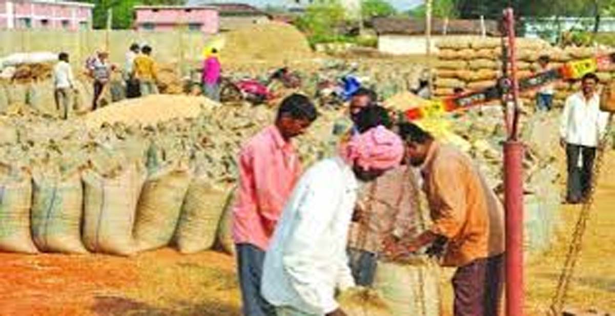 raipur, Say government ,relief to farmers