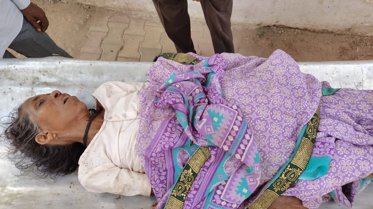 anuppur, Old woman dies , bee attack