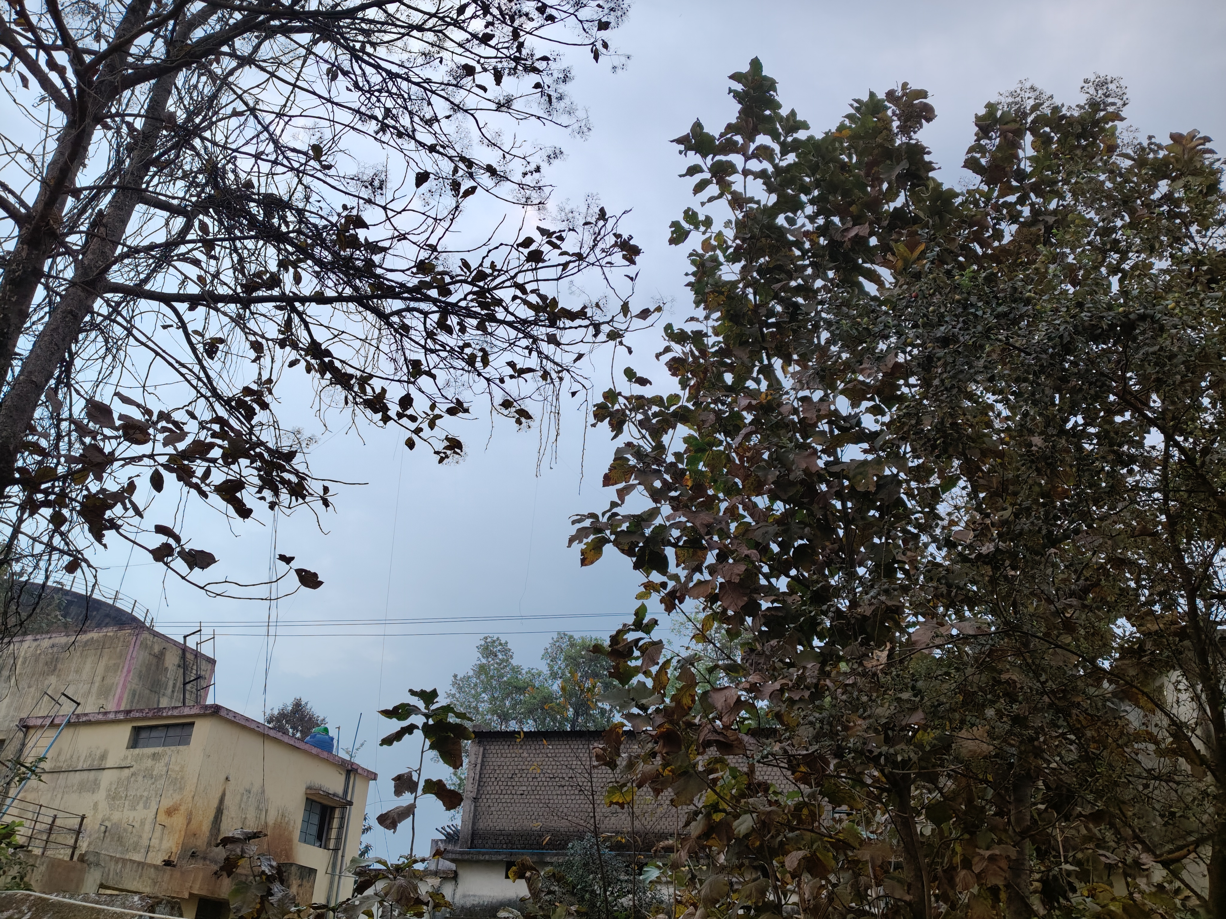 balrampur, After Holi, ,weather changed  