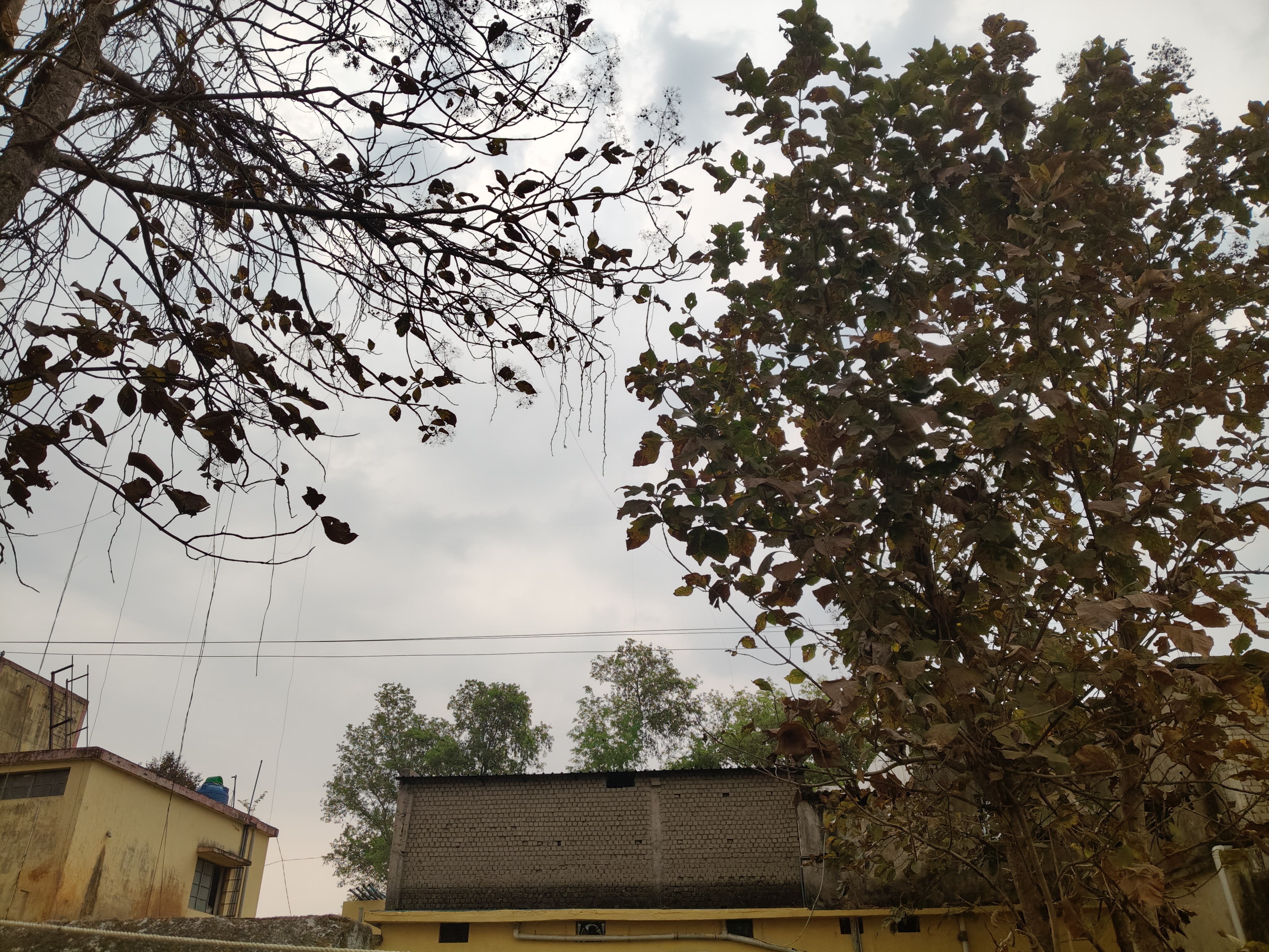 balrampur, Weather , Balrampur district 