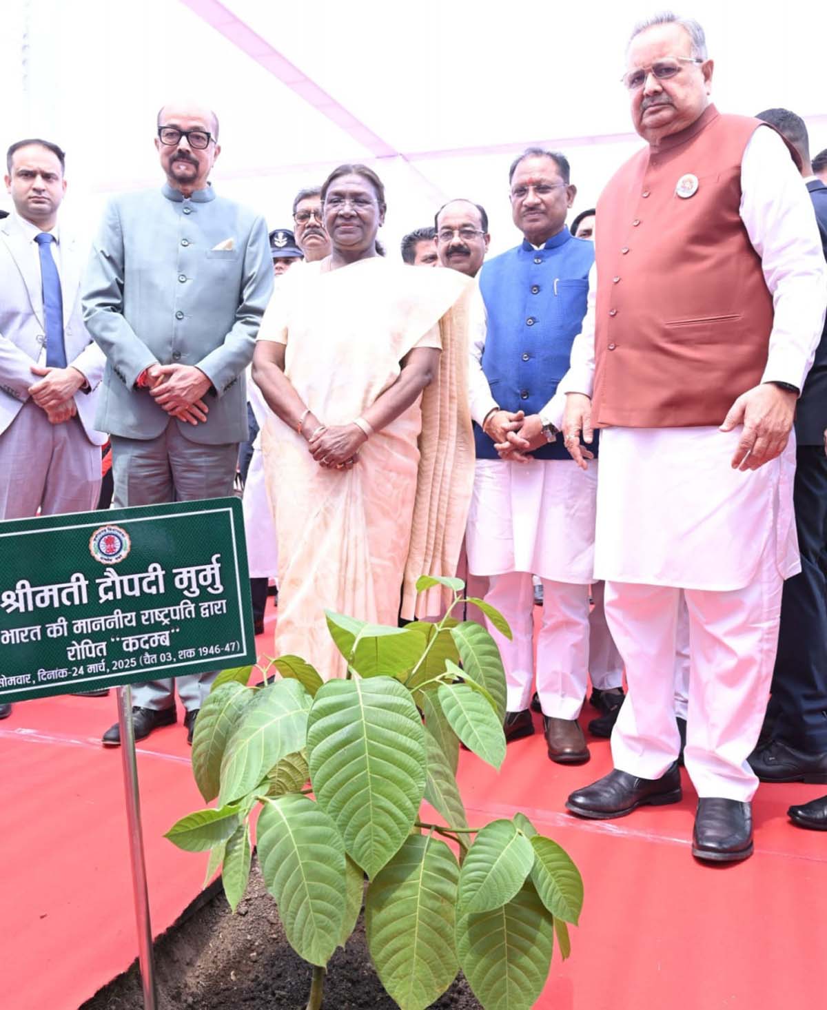 raipur, President Murmu ,planted a Kadamba tree  