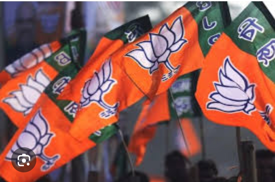 new delhi, BJP