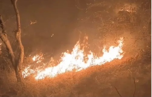 sirohi,Massive fire,Mount Abu, Rajasthan