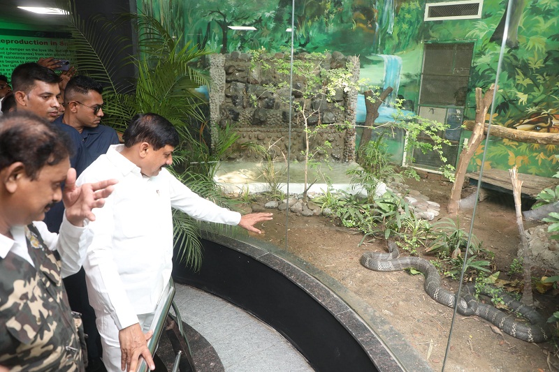 bhopal, Chief Minister , King Cobra 