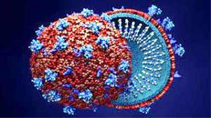 raipur,  corona infected, found 