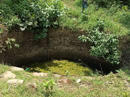 anuppur, Bodies of missing ,found in a well
