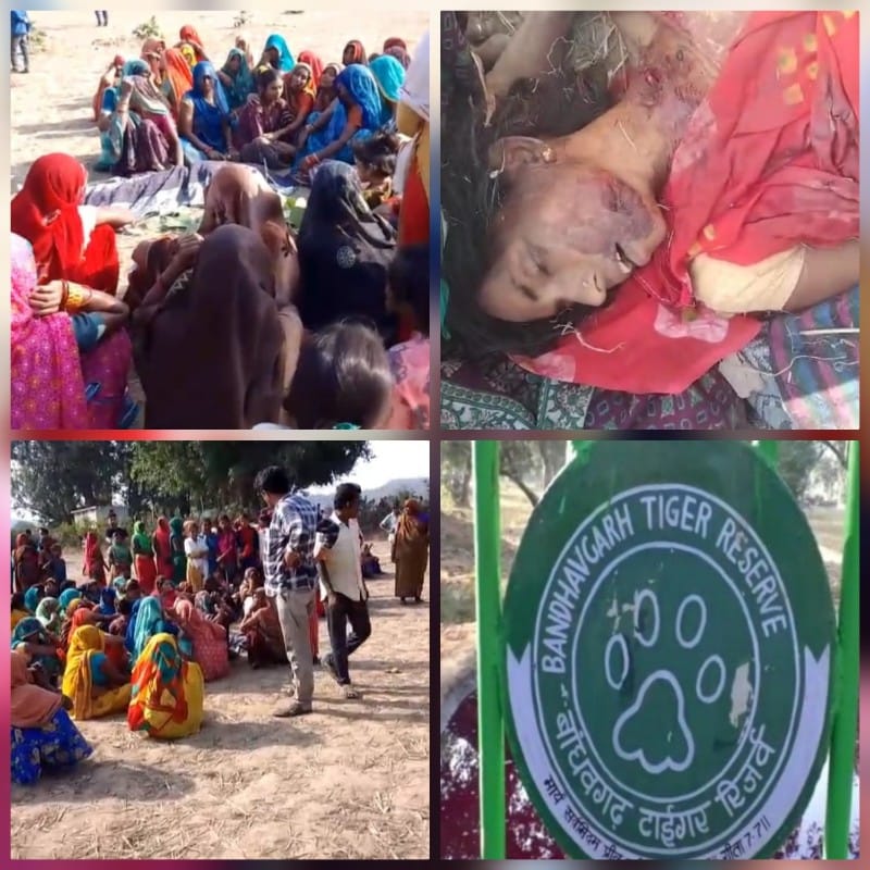 umaria, Woman dies ,Manpur range  