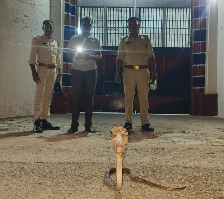 korba, snake was sitting,district jail  