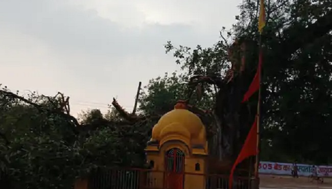 tikamgarh, Two people died , lightning