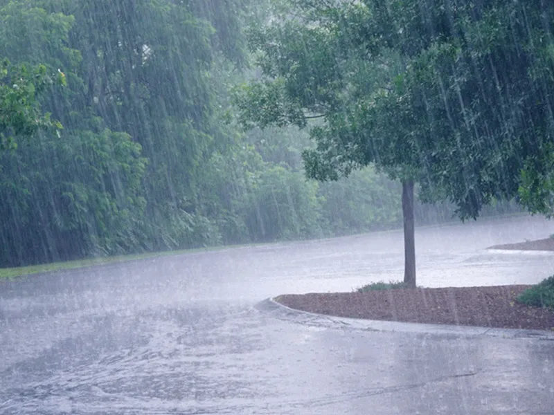 raipur, Heavy rain ,alert issued 
