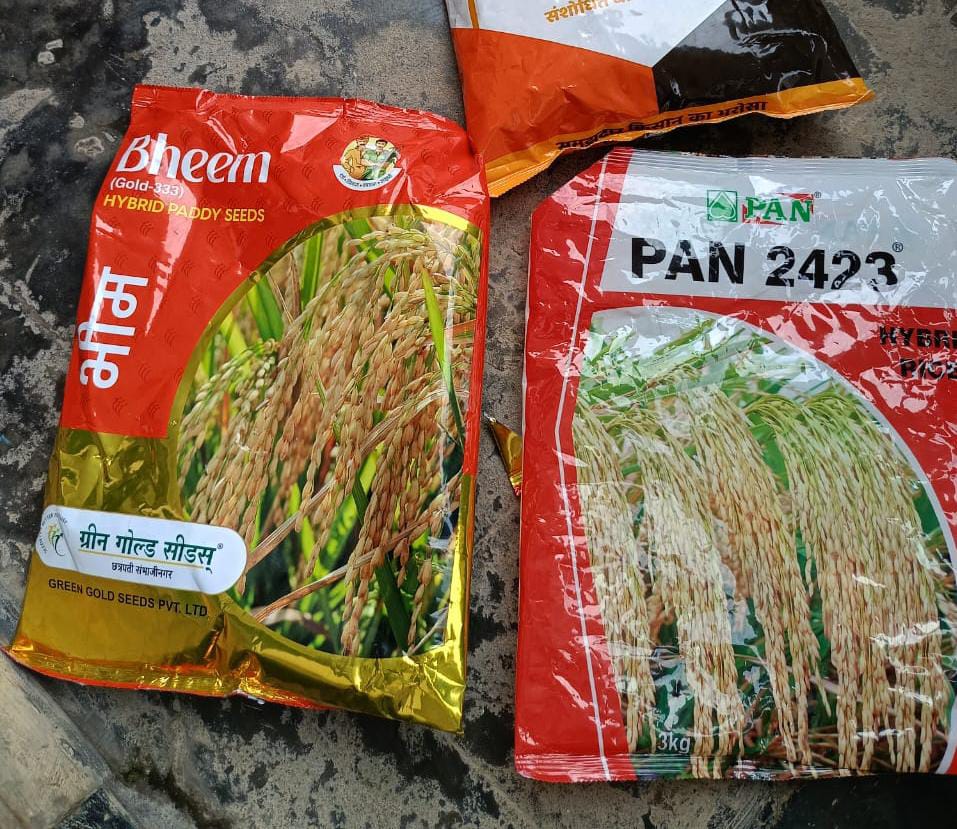 ambikapur, Fake paddy seed racket, openly sold  