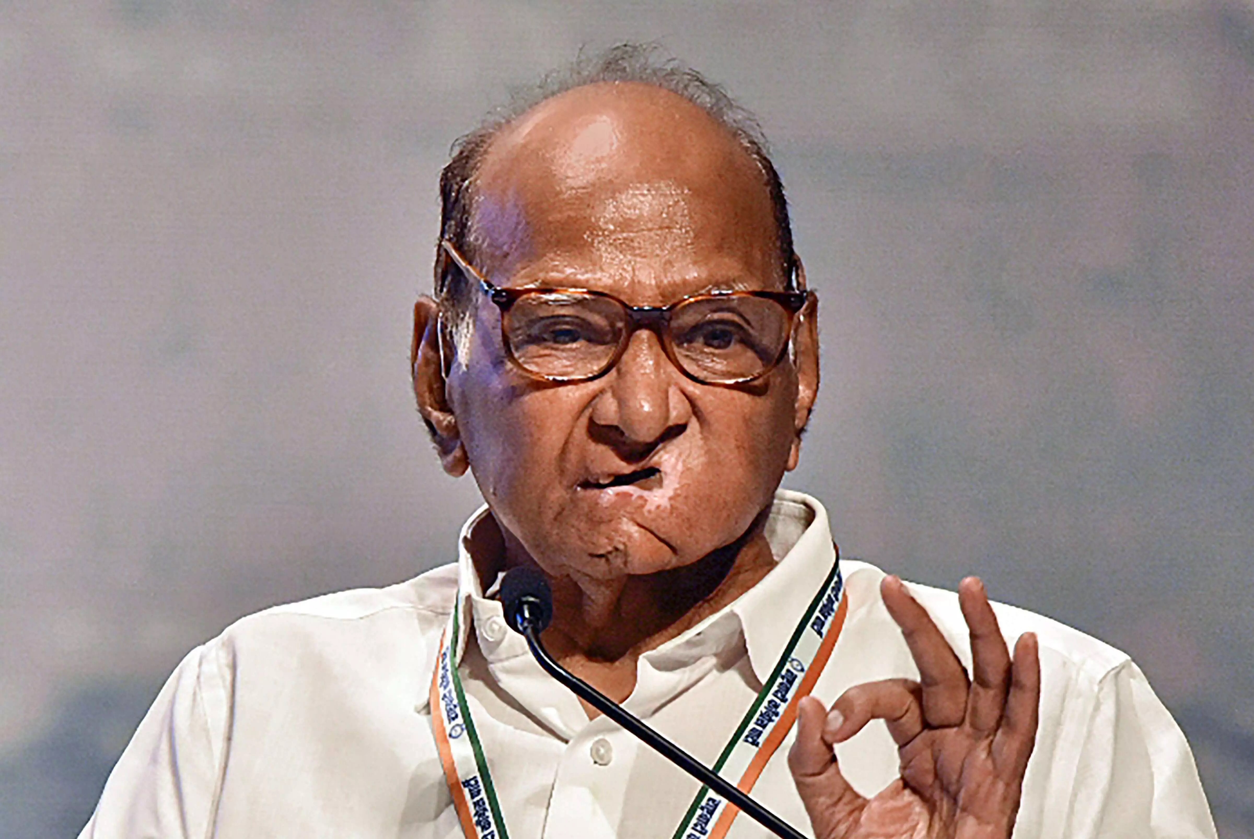 nagpur,   assembly elections, Sharad Pawar