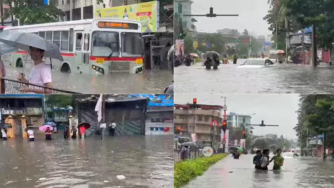 mumbai, 12 people died , rains in Maharashtra