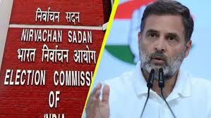 new delhi, Votes cannot be deleted , Election Commission