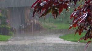 balrampur,  impact of Cyclone ,Montha continues