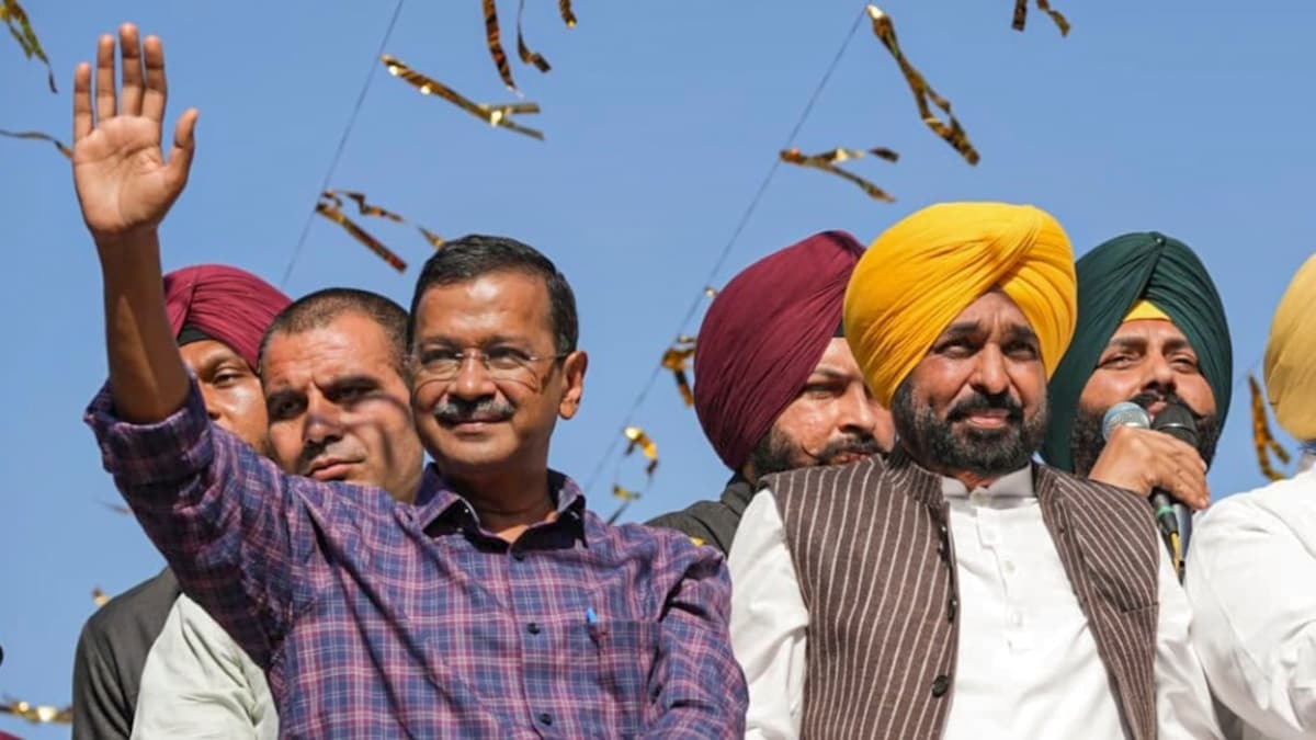 Punjab,AAP,victory,rural local body elections