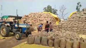  Raipur, Slowdown, paddy, procurement, raises, questions,  government