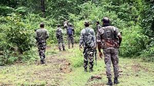 12 Maoists carrying a bounty of Rs 46 lakh surrender in Bijapur, eight of them women