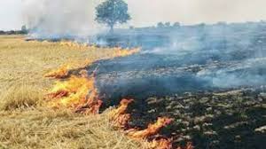 Strict action, against,  stubble ,burning, fine, Rs 30,000 , imprisonment