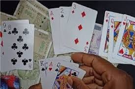 Bilaspur ,police tightens, grip , gambling ,betting network
