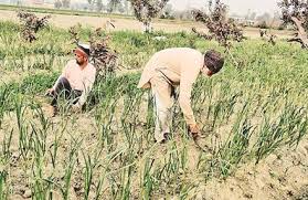 Responsibility towards, farmers ,paramount, clear stand, political ,appointments