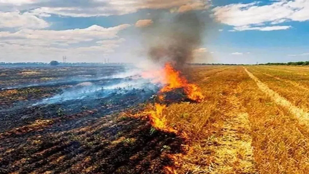  Madhya Pradesh , tops, stubble burning, rising cases raise concerns