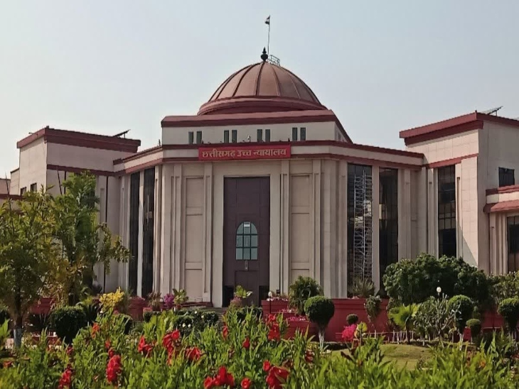  High Court , action ,cow shelter chaos: Demands explanation , cramming 205 cows