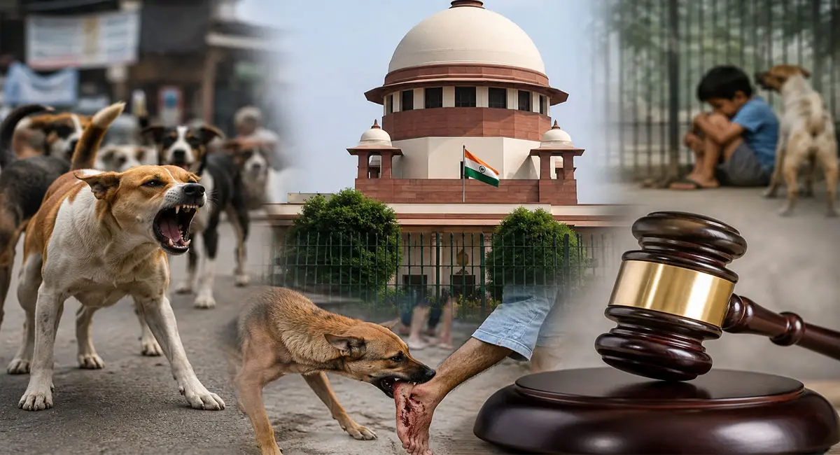 Supreme Court ,stand, directs action , dangerous stray dogs