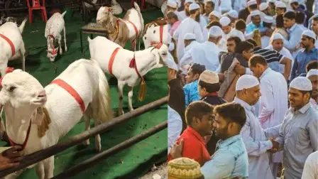 Chhattisgarh,  tightens restrictions,  Bakrid, bans open-air , sacrifice and DJs