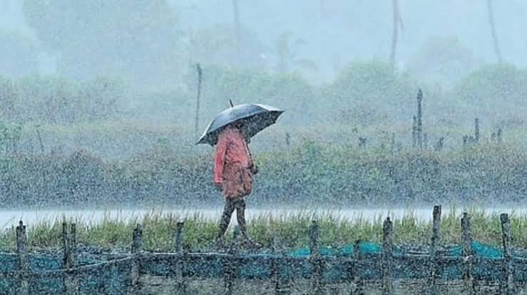 Monsoon likely ,  pick up pace again; expected , reach Chhattisgarh 