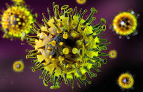 Measles outbreak , Maihar: one child dead, six infected.