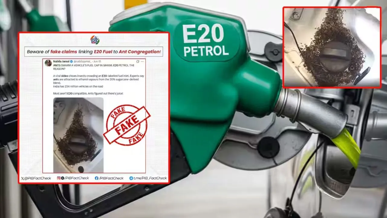  Government, ethanol-blended petrol; engine damage.