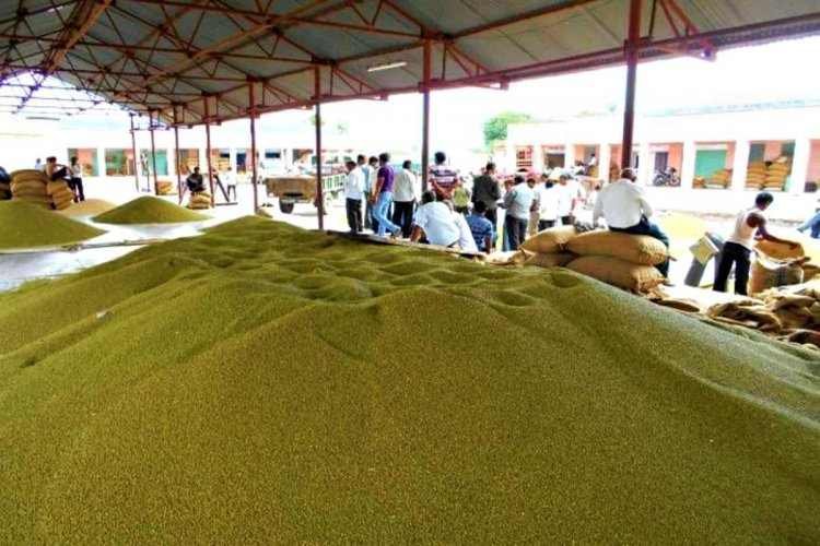 Urad , Moong, MSP , MP ,  July 1, farmers , registered.