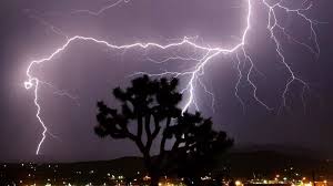 rain , lightning, UP , Bihar; monsoon continues, several states.