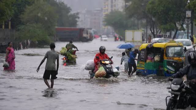 Impact , rain across, country, alert, districts of UP.