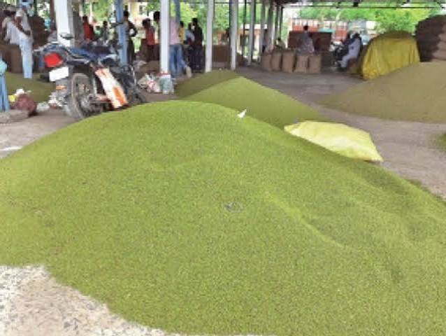 Centre , MP, moong procurement,quota allocatio