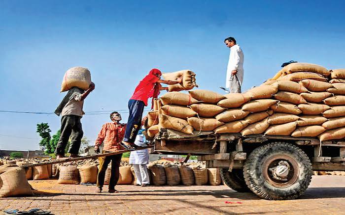 MP , grain storage capacity, surpassing, Punjab and Haryana