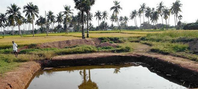 Health cards ,ponds ,Chhattisgarh,five ponds, polluted