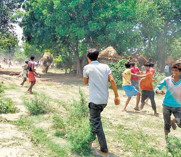 तुमला में हाथी का उत्पात 